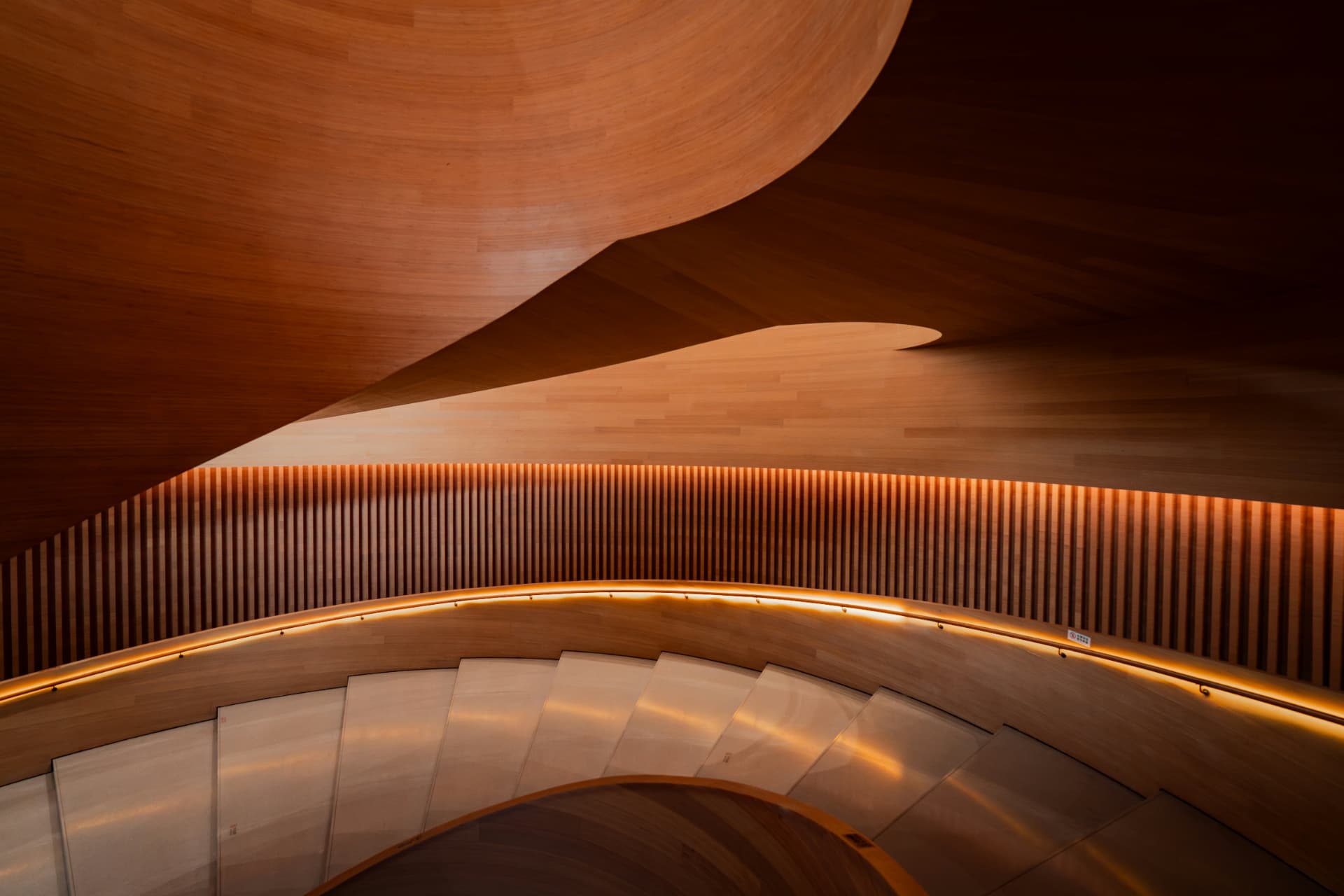Curving timber architecture inside a contemporary auditorium